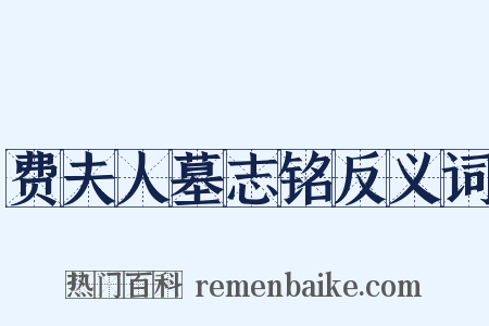 费夫人墓志铭反义词是什么意思的图片